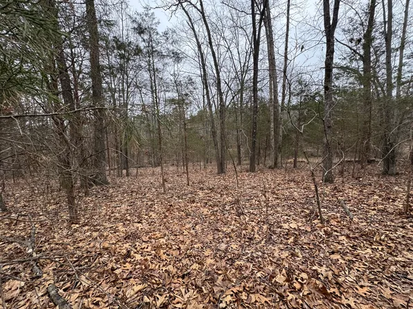 0 Indian Creek Dr Lot 63 & 64, Goreville, IL 62939