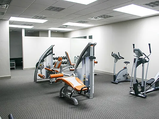 Rented by MNS | media 11