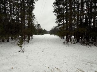 14124 Healy Lake Rd, Bear Lake, MI 49614