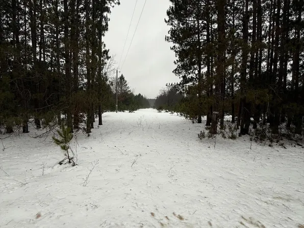 14124 Healy Lake Rd, Bear Lake, MI 49614