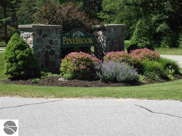 6865 Pinebrook Dr Unit 9, Bellaire, MI 49615