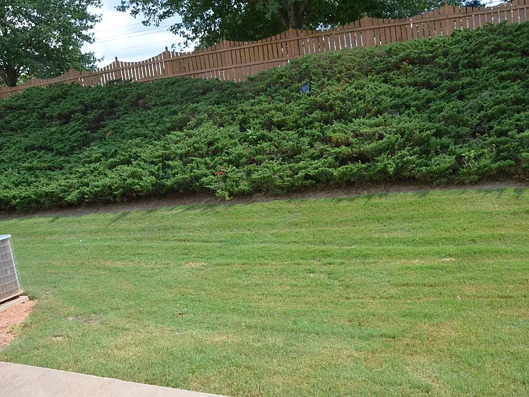 Backyard View from Patio