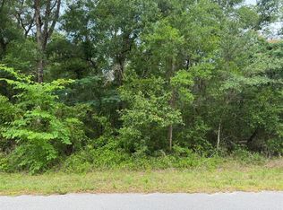 14 SW Channel Heights Ct, Dunnellon, FL 34431