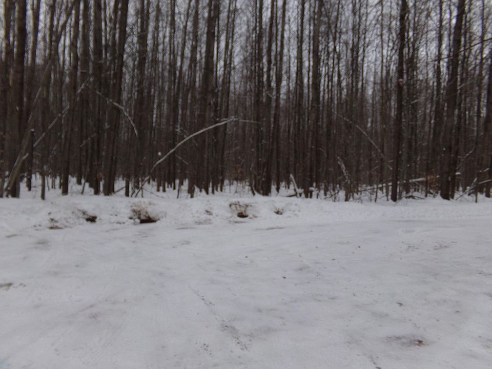 1st image of S Briardale Ct