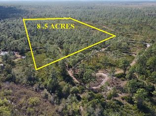 Palm Frond Rd, Saint cloud, FL 34771