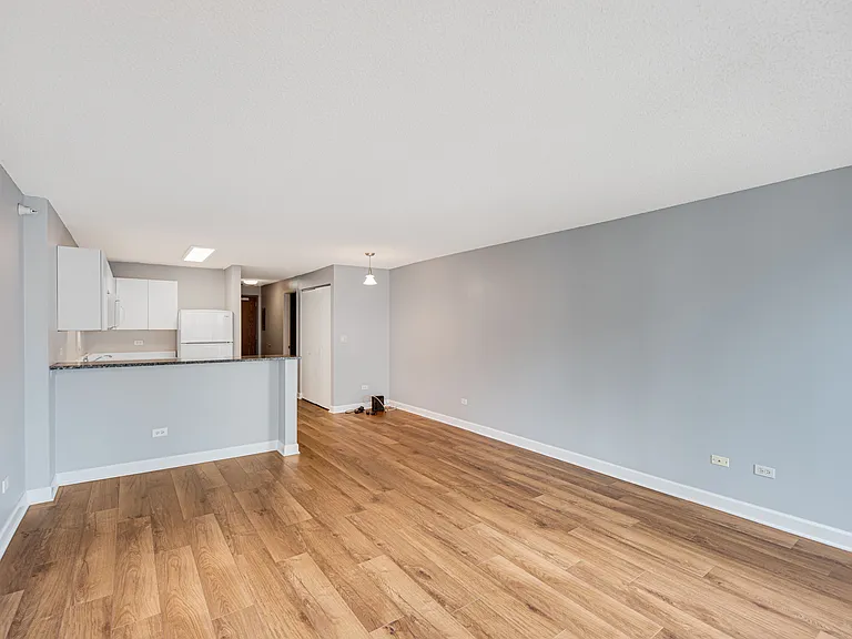 2 E Erie St #1804 — Photo 5
