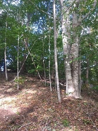 2nd image of 181 Timberlane Dr