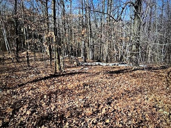 3rd image of 000 Camp Road