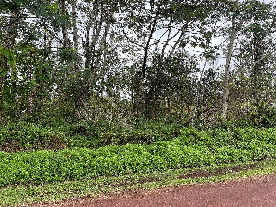 1st image of Hibiscus Dr Lot 8