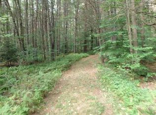 36 Gabriel Rd, Corinth, NY 12822