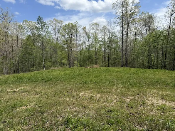 149 Countrywood Ln, Hohenwald, TN 38462