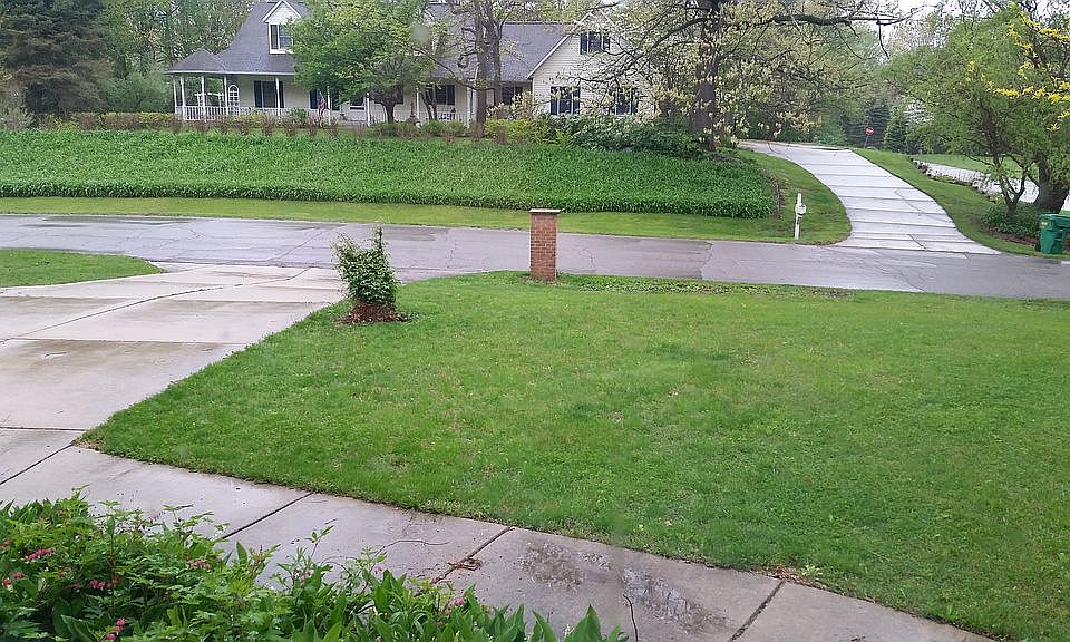 Spring - Front Yard Middle