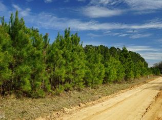 1 Tr 1 And 2 Sheppard Ave, Daisy, GA 30423