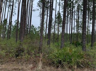 17169 Hodges Rd, Hilliard, FL 32046