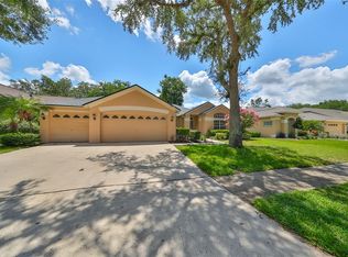4404 Winding River Dr, Valrico, FL 33596