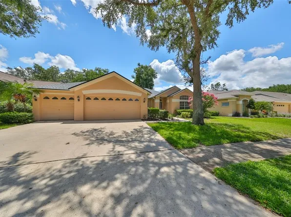 4404 Winding River Dr, Valrico, FL 33596