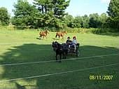 Our field left side of house.