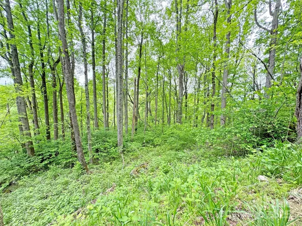 Caldwell Mountain Rd, Hot Springs, NC 28743