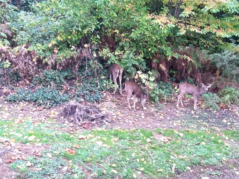 Neighbors