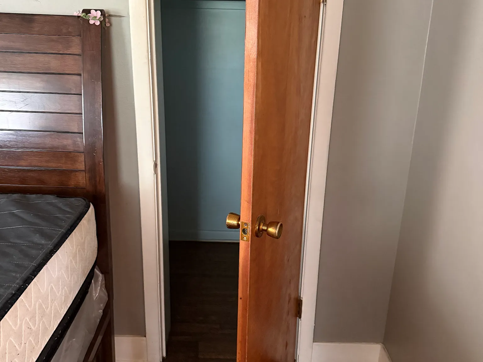 1 bed, 800 sqft, $1,100 — Photo 3