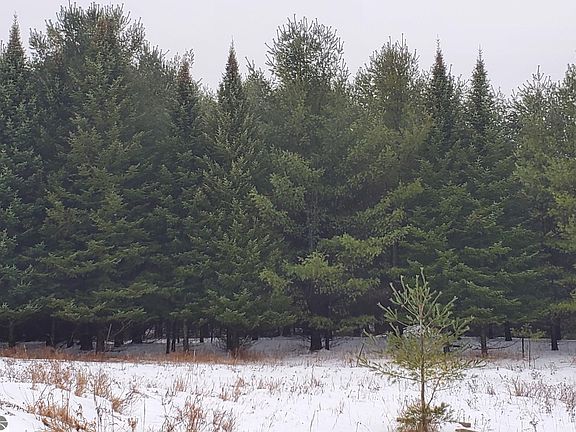 2nd image of 2788 Greenwood Rd