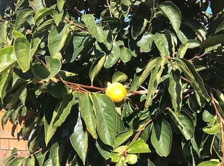 1936 Arctic St, San Leandro, CA 94577