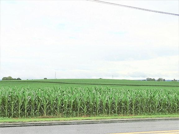 Farmland Views