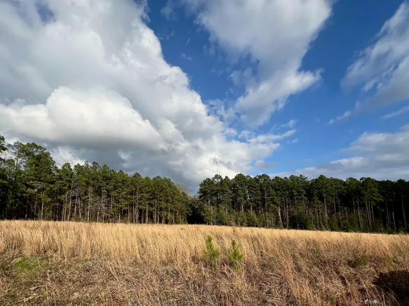 0 Willie Brantley Rd, Farmerville, LA 71241