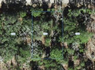 6750 N DARLINGTON DRIVE LOT 6, CITRUS SPRINGS, FL 34434