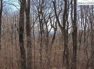 13 Spice Bottom Trl, Banner Elk, NC 28604