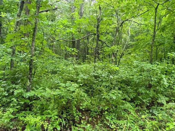 County Road 512, Piedmont, MO 63957