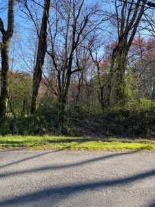 52 Yellowbird Trl, Blue Ridge, GA, 30513