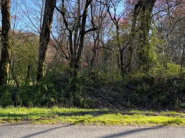 52 Yellowbird Trl, Blue Ridge, GA 30513