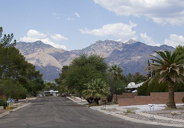 Unobstructed views from the living room window