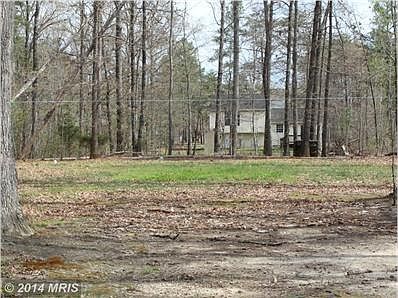Large back yard