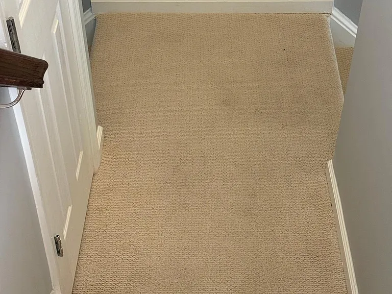 113 Gretchen Ct — Photo 30