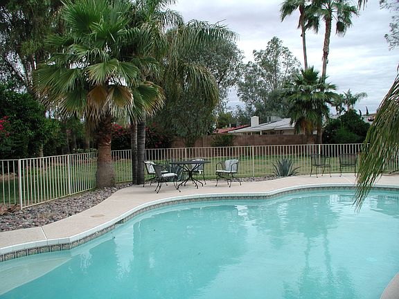 Back yard