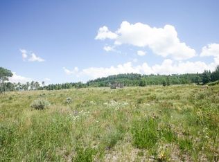 338 Gore Trl, Edwards, CO 81632