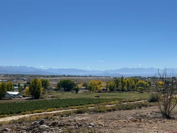 63345 Ida Road, Montrose, CO 81401