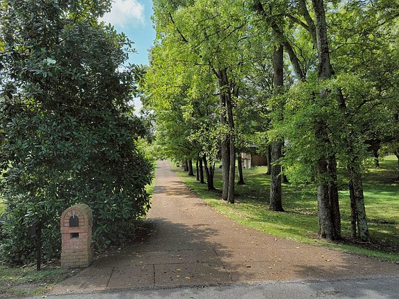 3rd image of 507 Menees Ln