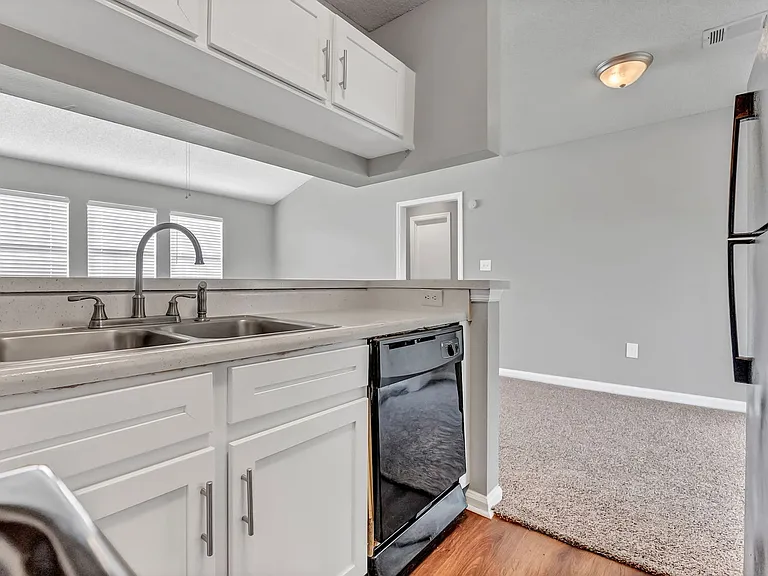 Springlake Apartments — Photo 57