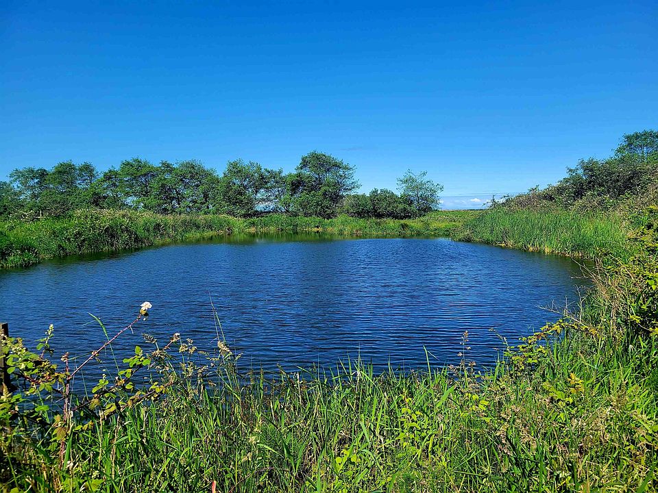 10850 Highway 101 N, Smith River, CA 95567 Zillow