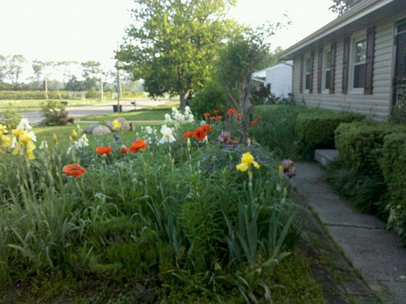 2nd image of 908 Pierson Rd