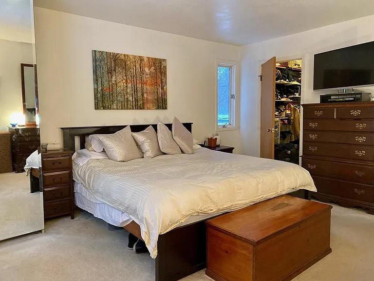 primary bedroom with large walk-in closet