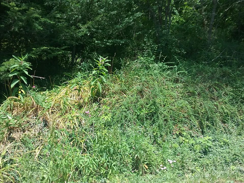 2nd image of 0 E Morris Hill Rd