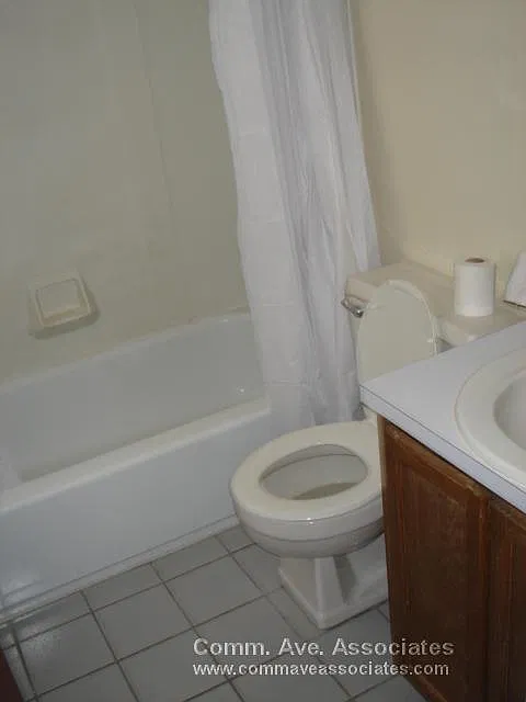 2 bed, 1.0 bath, $2,500 — Photo 4