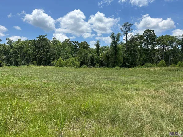 Pintail St, Springfield, LA 70462