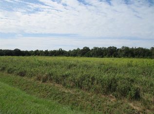 99 Reynolds Rd, Pineview, GA 31071