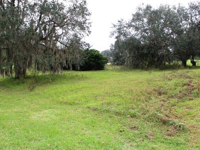 36642 Honey Tree Ct, Eustis, FL, 32736
