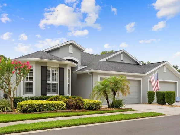 8557 Acorn Ridge Ct, Tampa, FL 33625
